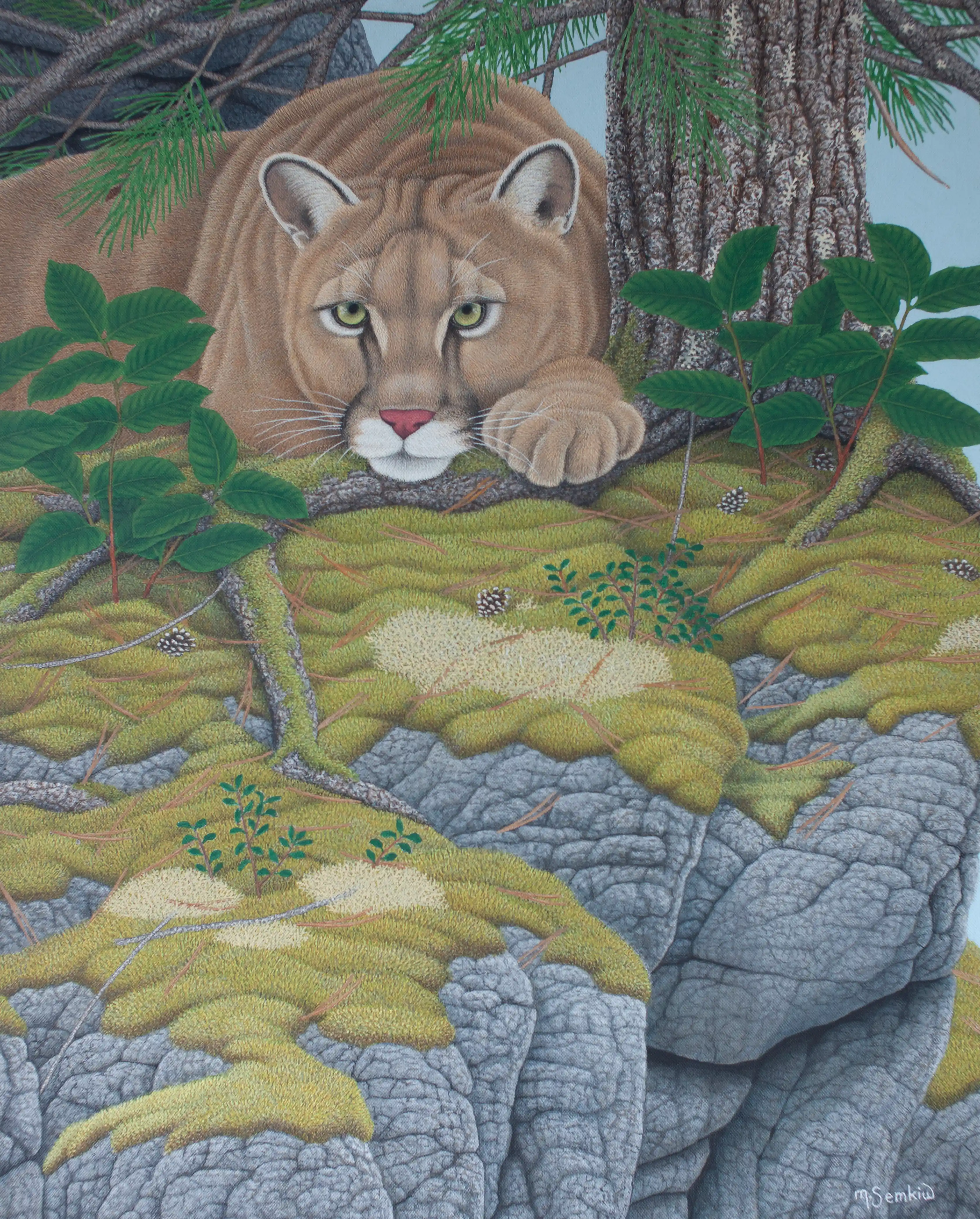 Eyes On You (Cougar)