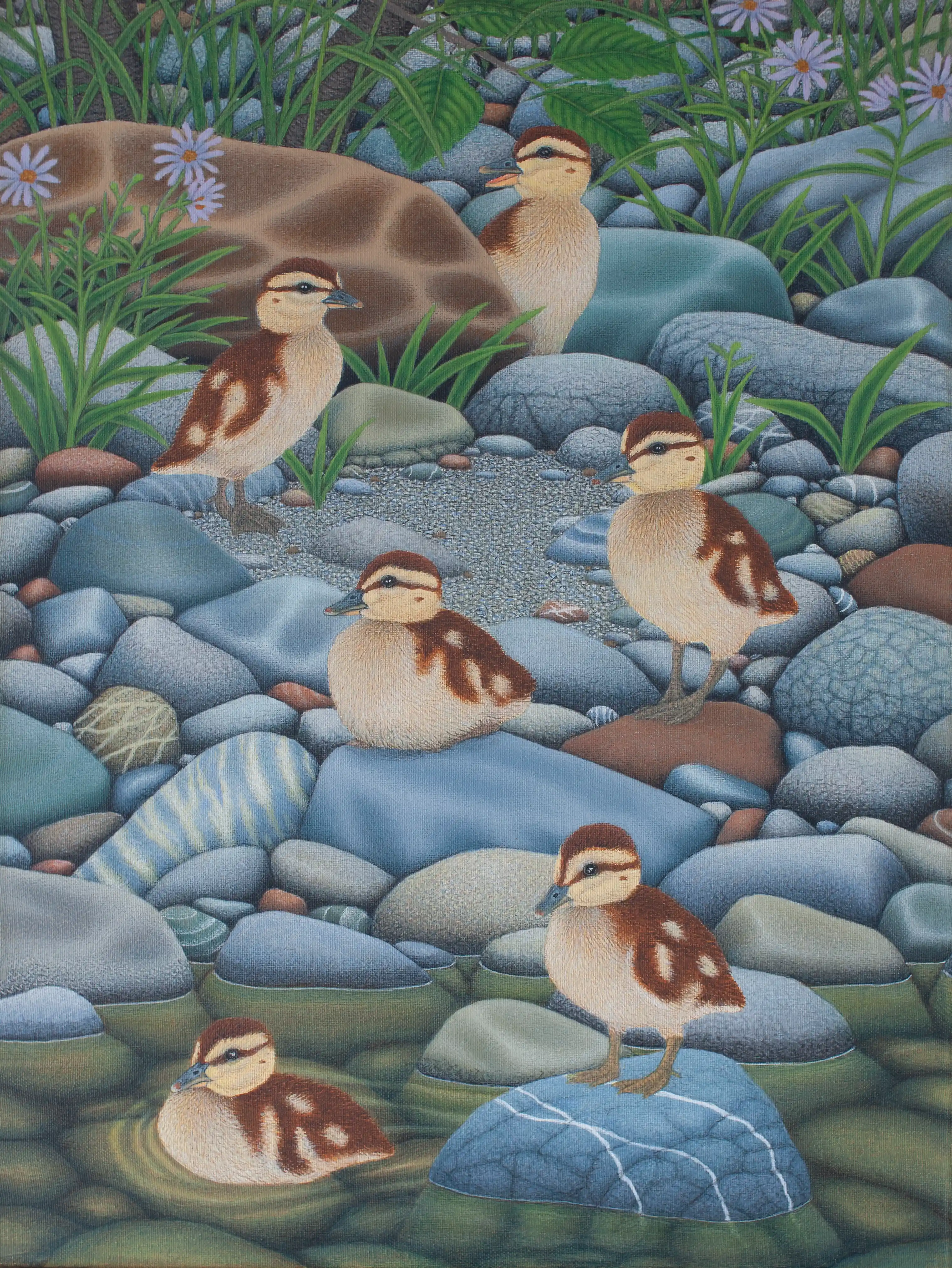 Mallard Ducklings