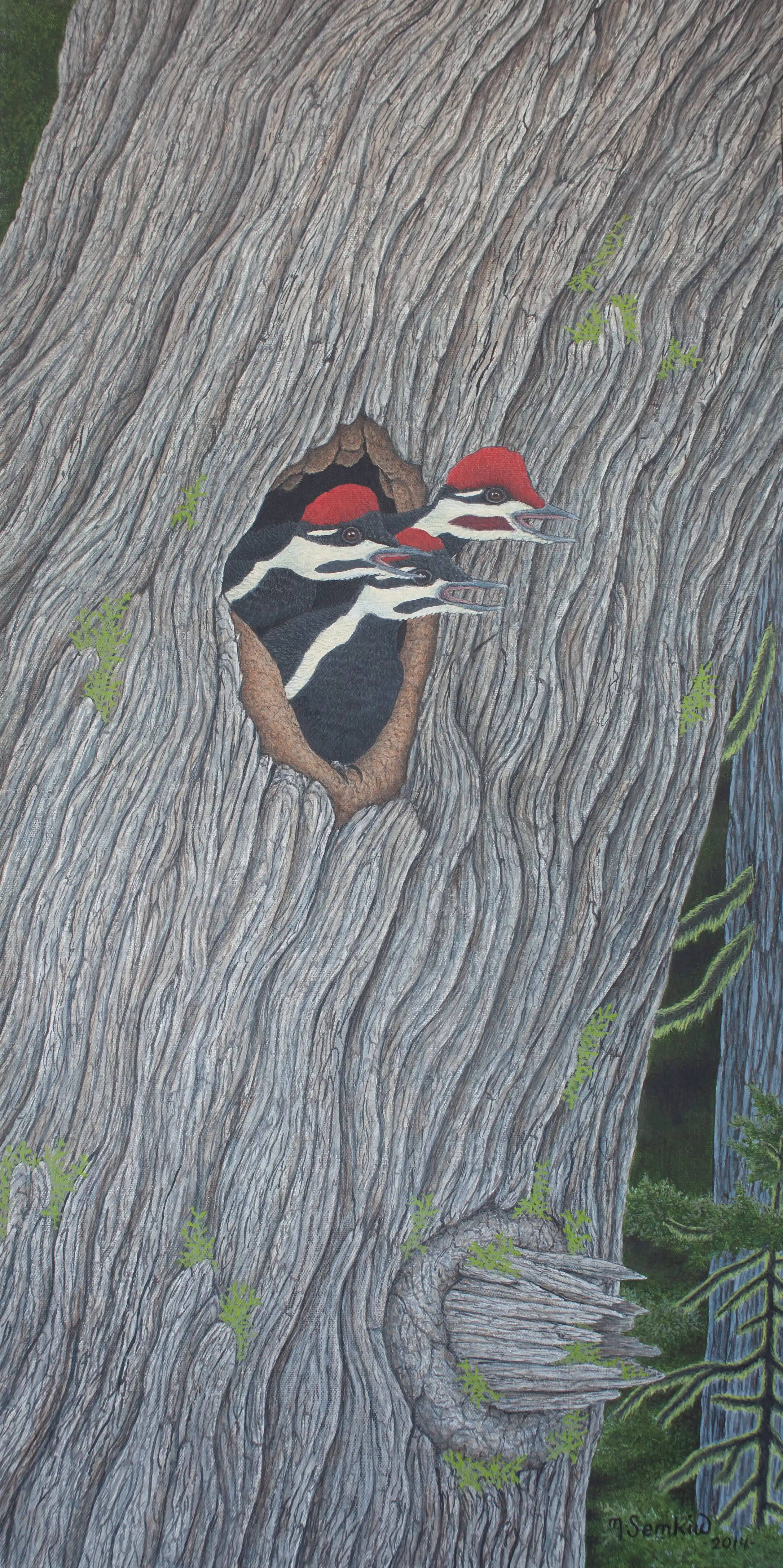 Pileated Woodpeckers