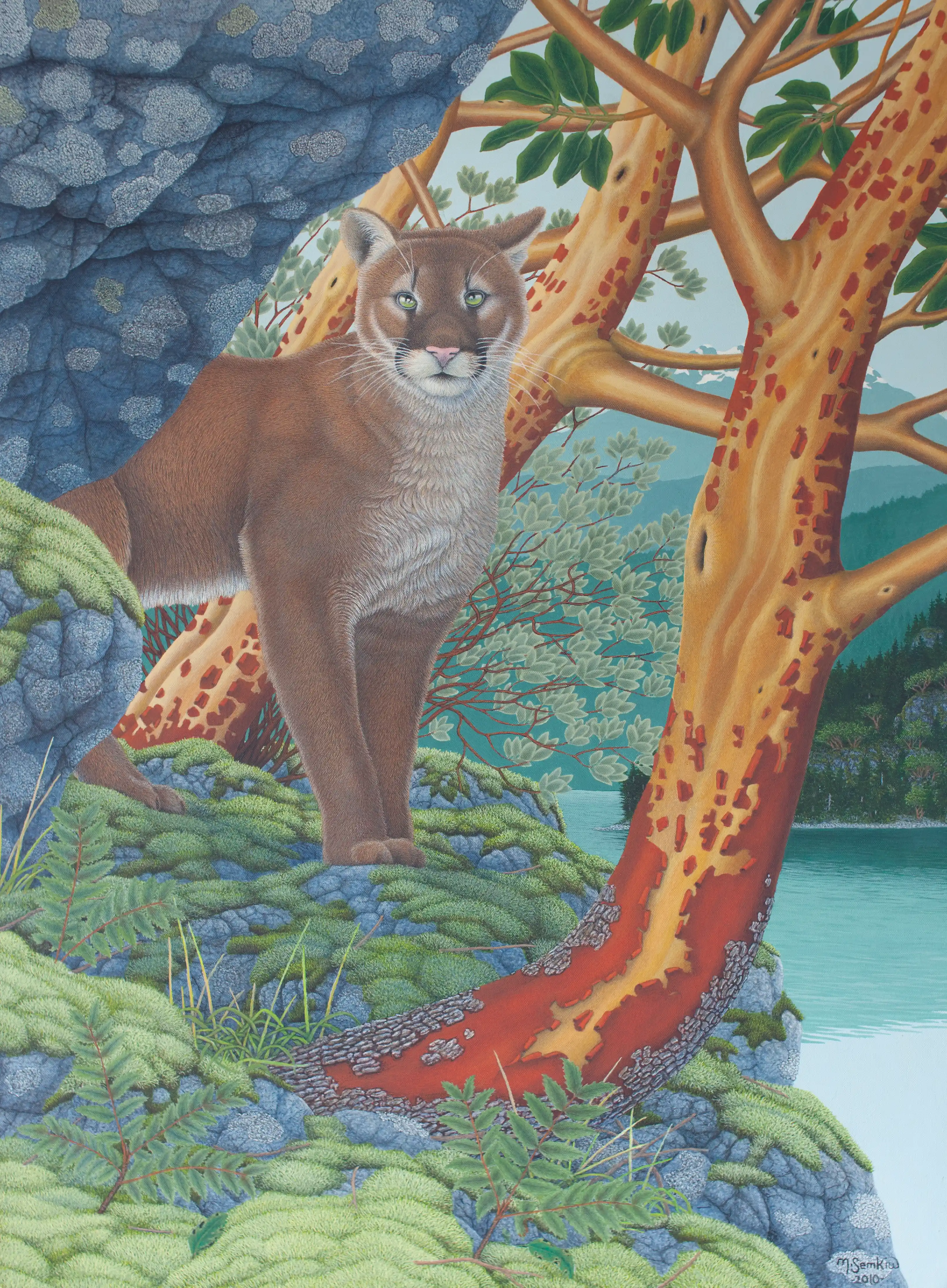 Cougar