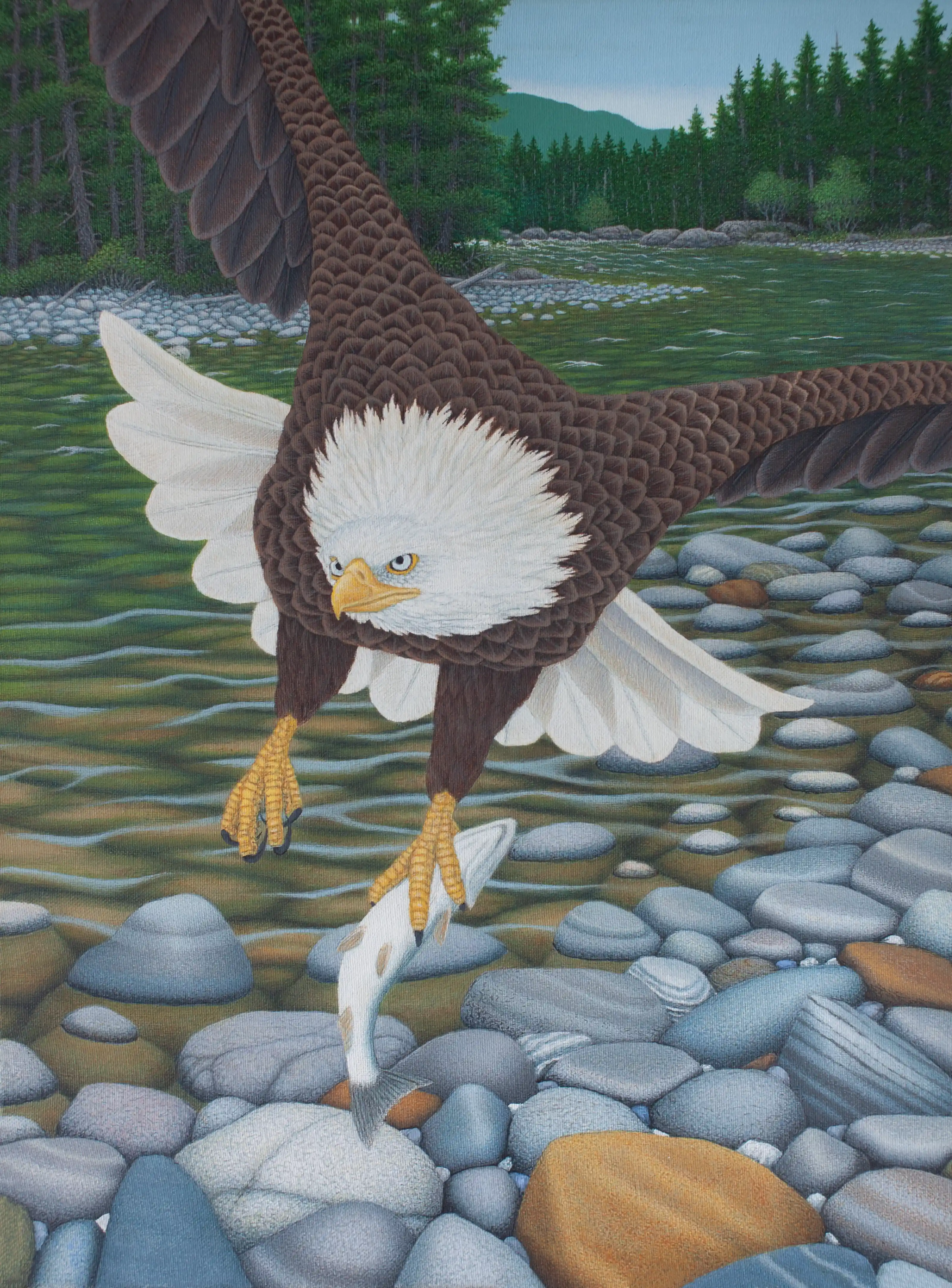 Nice Catch (Bald Eagle)