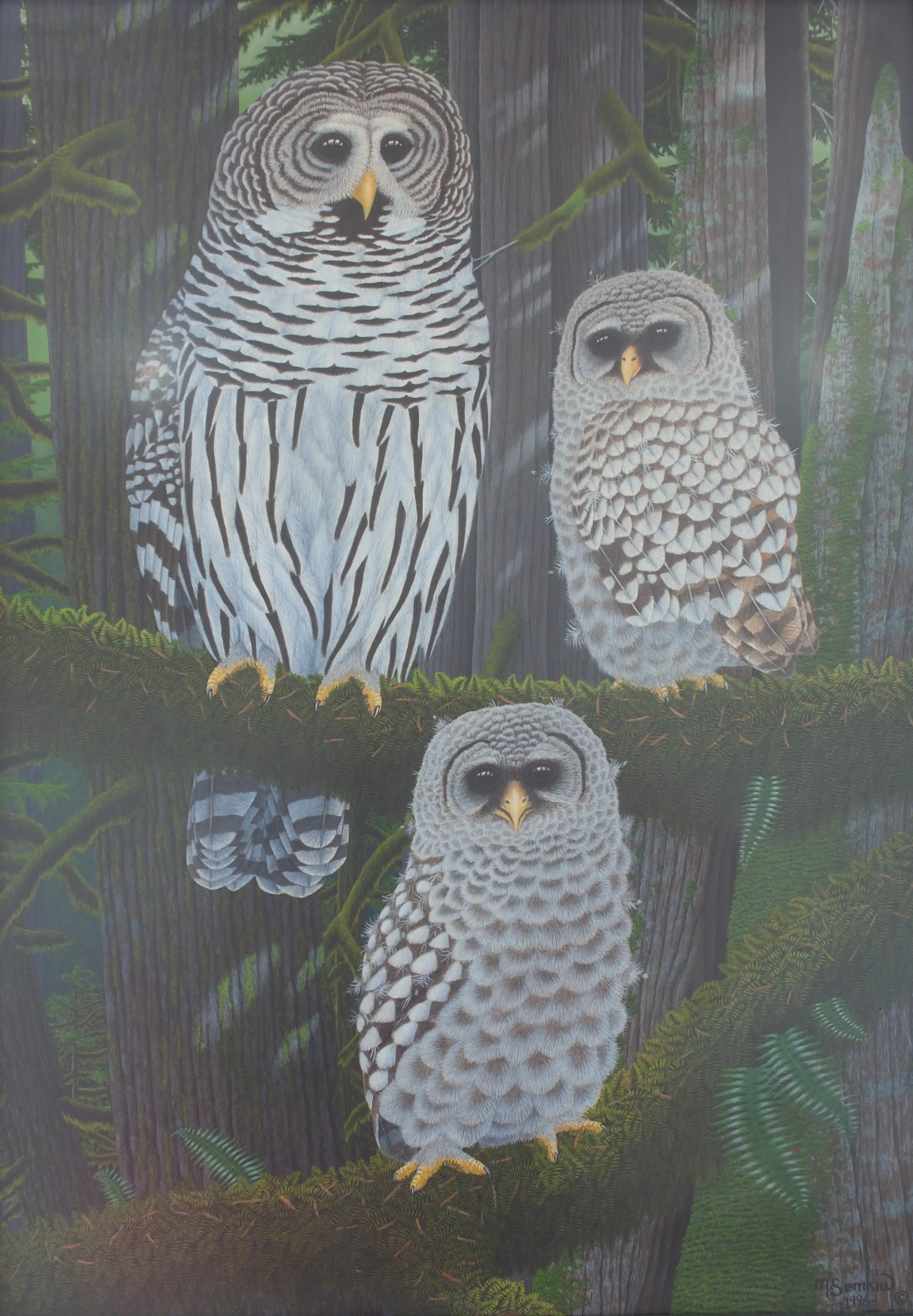 Three Owls