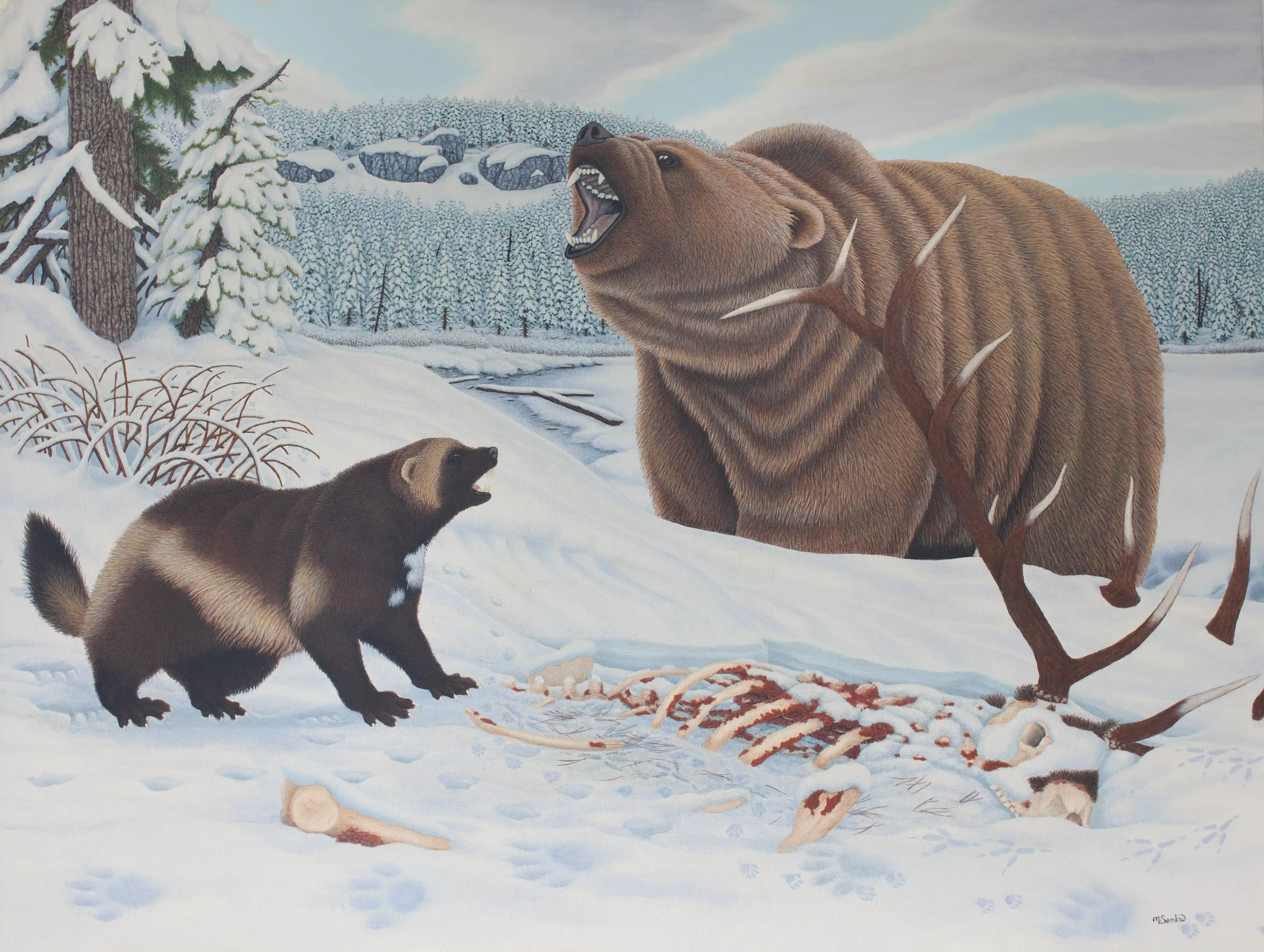 The Stand Off (Wolverine & Grizzly)
