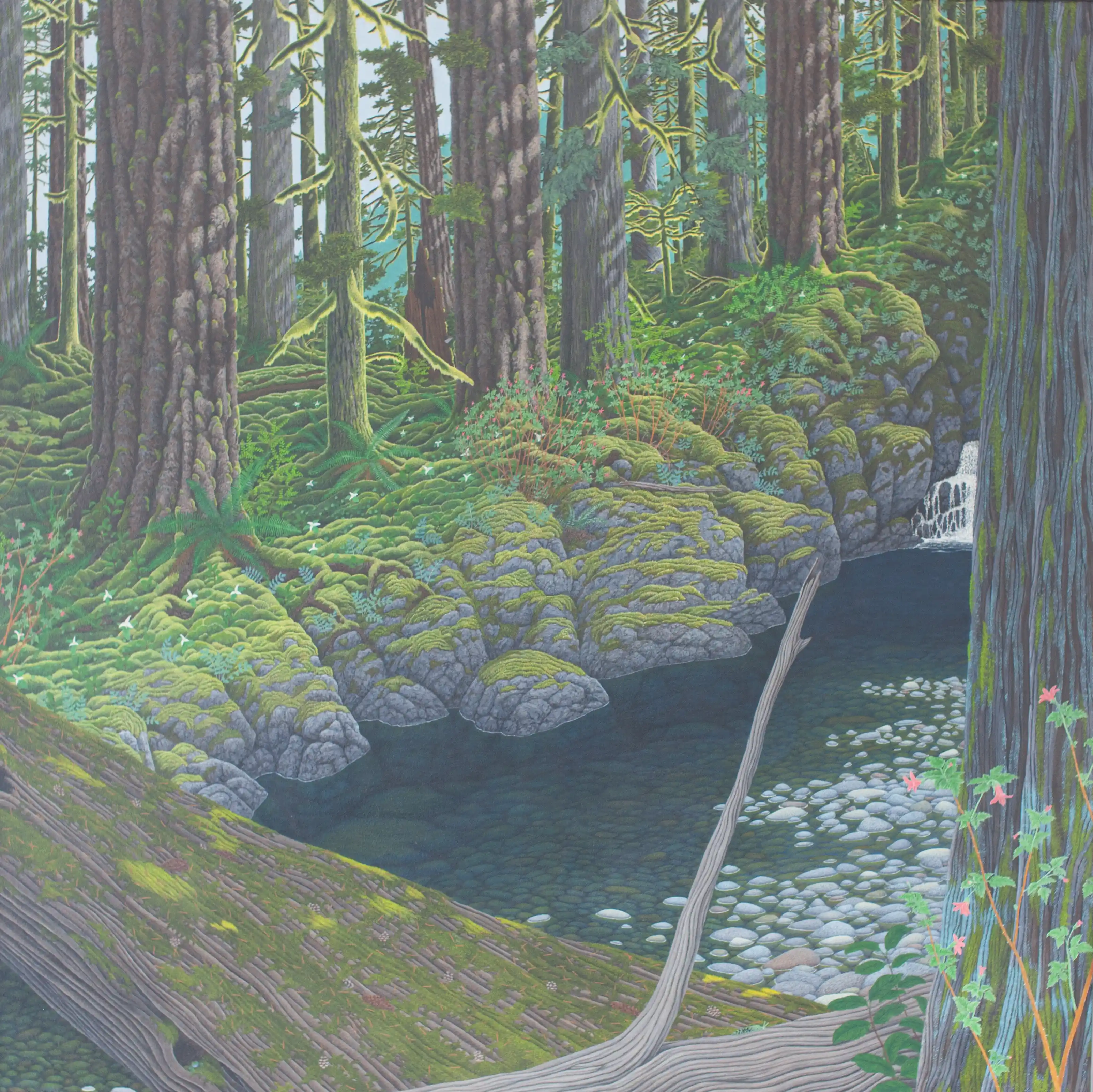 Trees & Stream