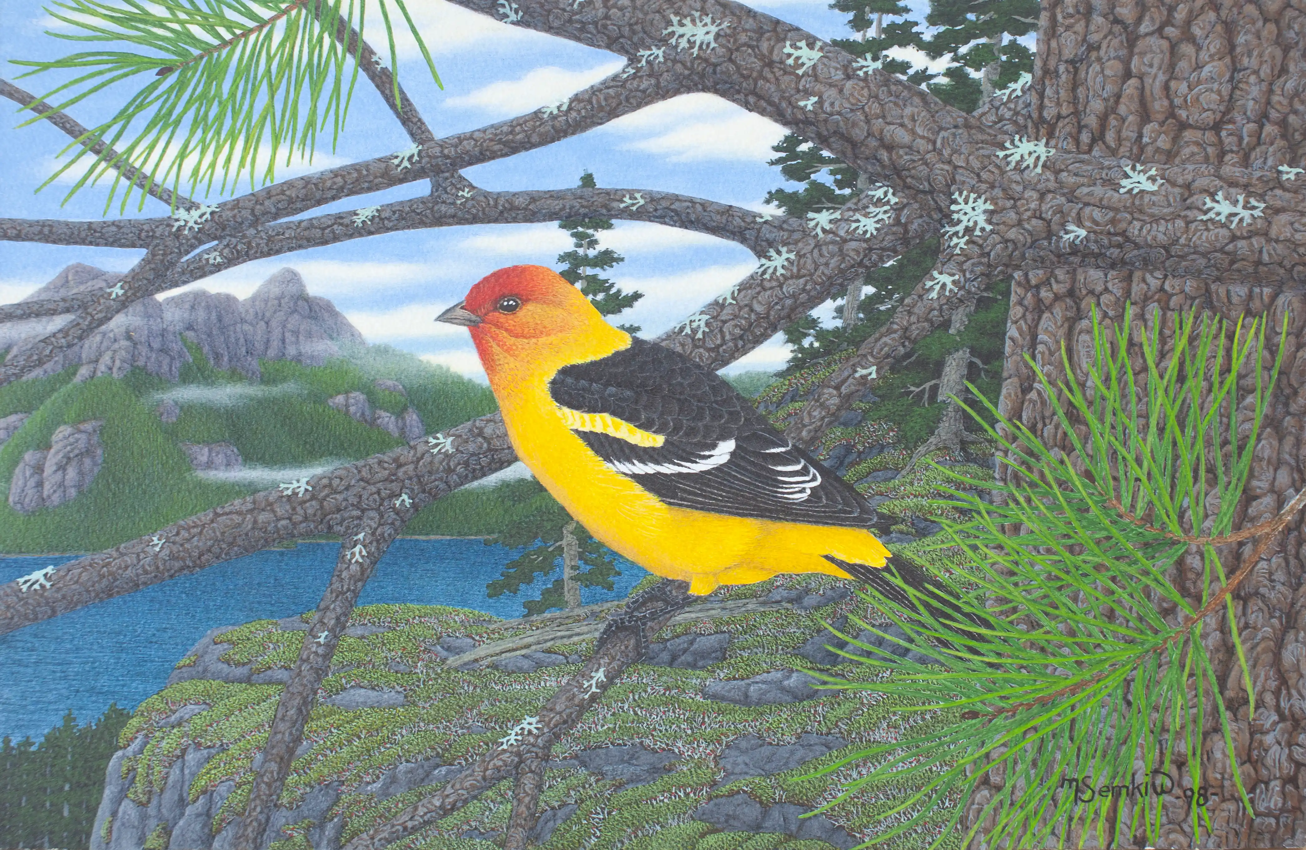 Western Tanager