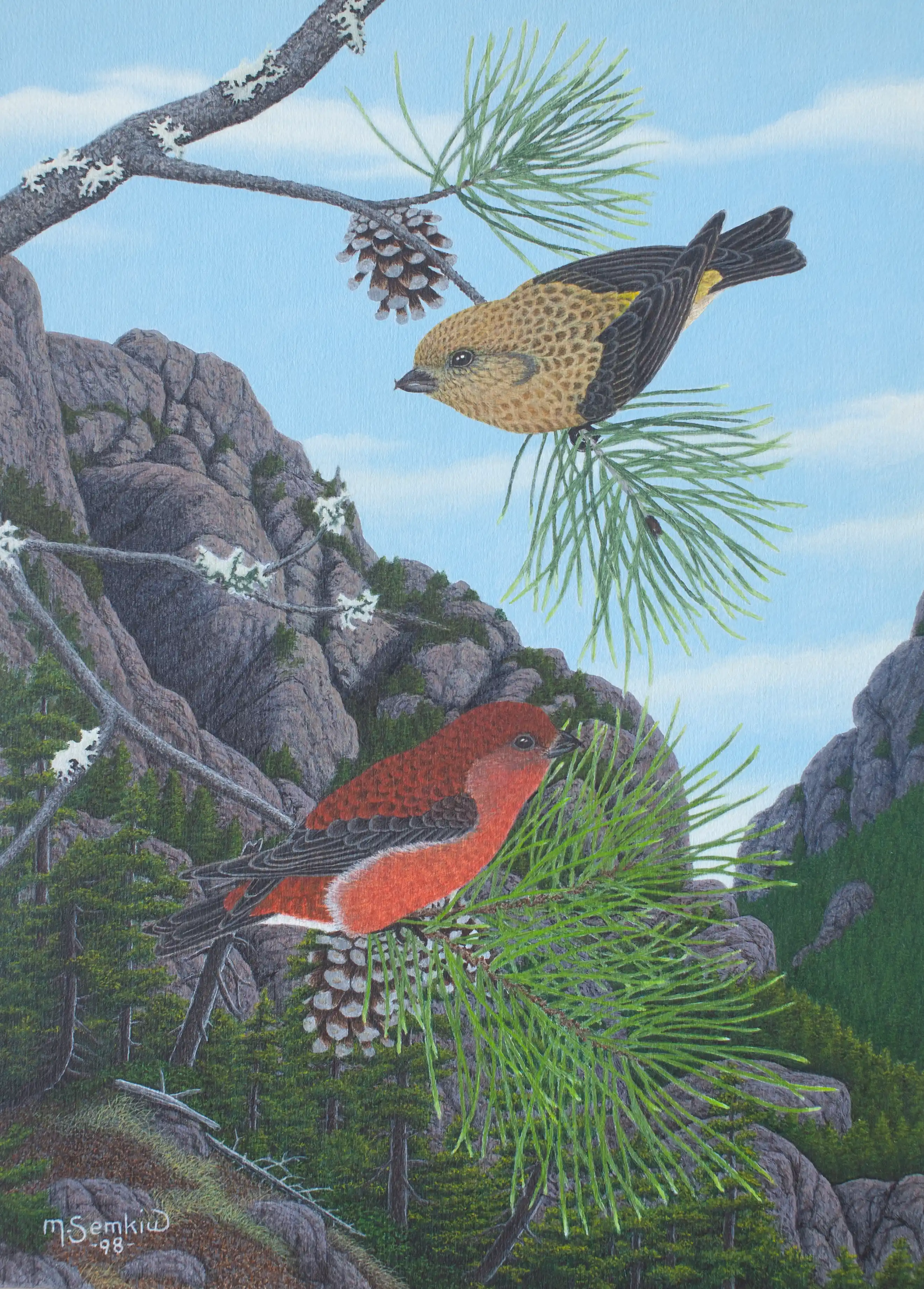 Red Crossbills