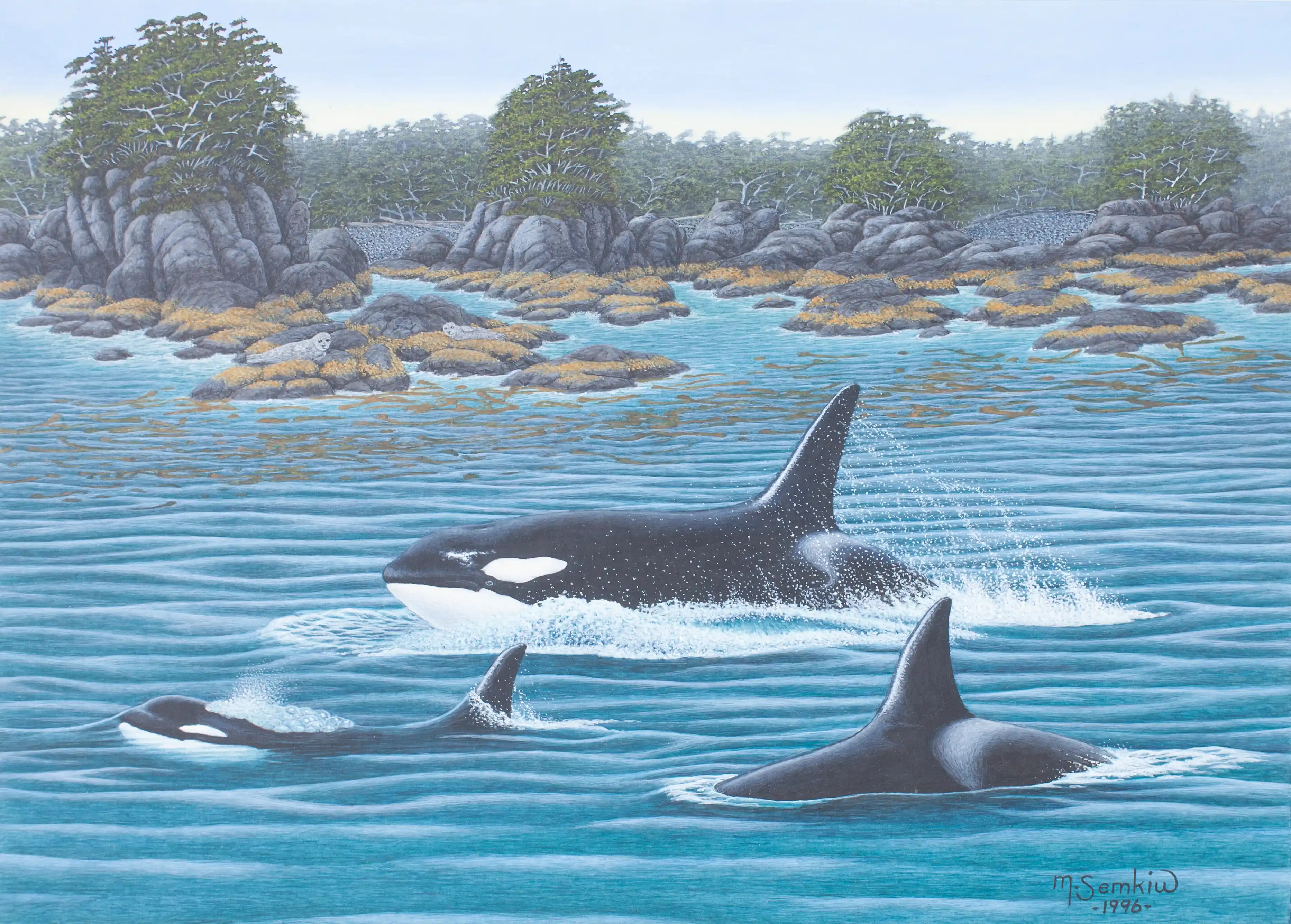 On The Move (Orcas)