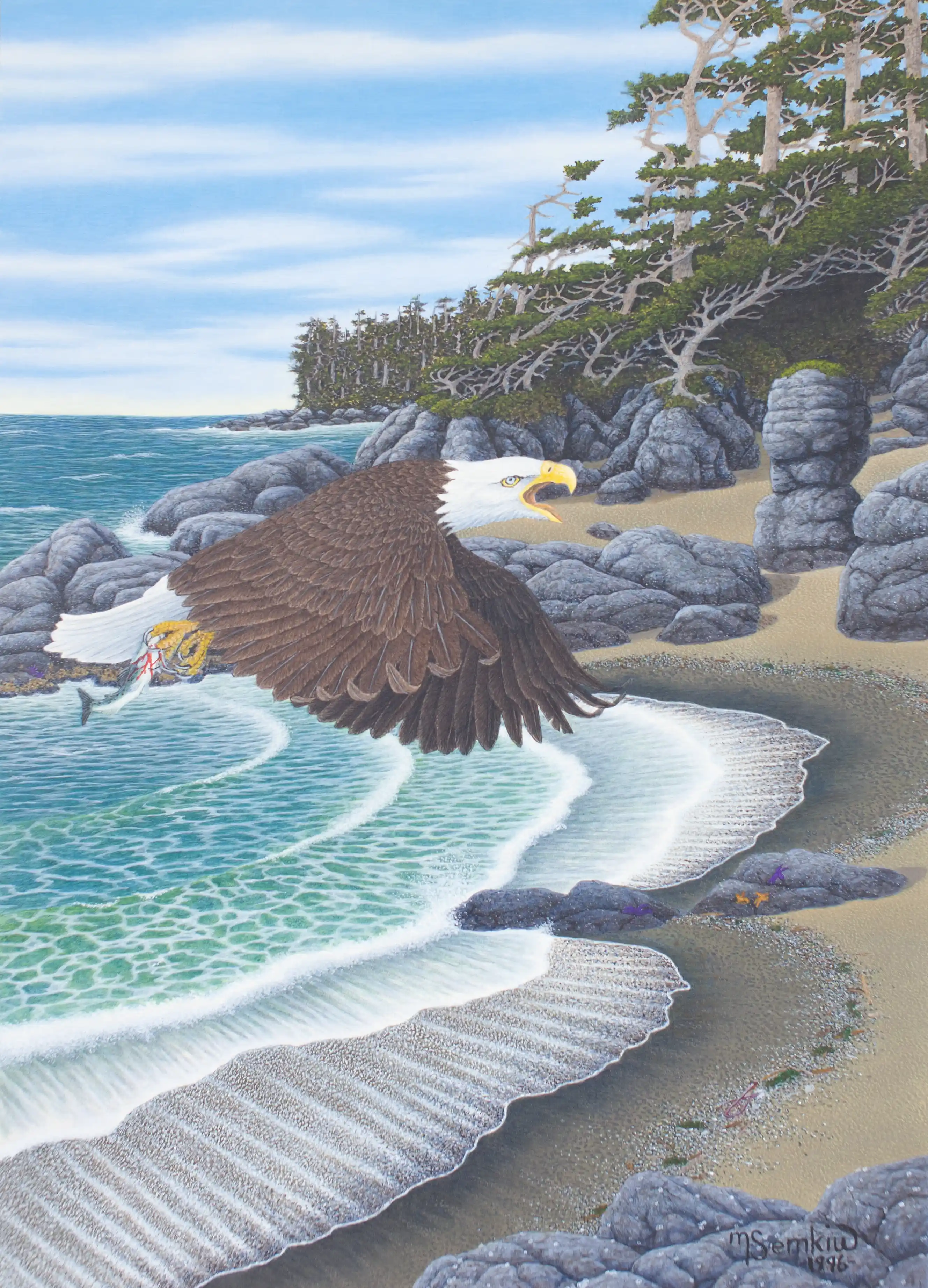 Bald Eagle