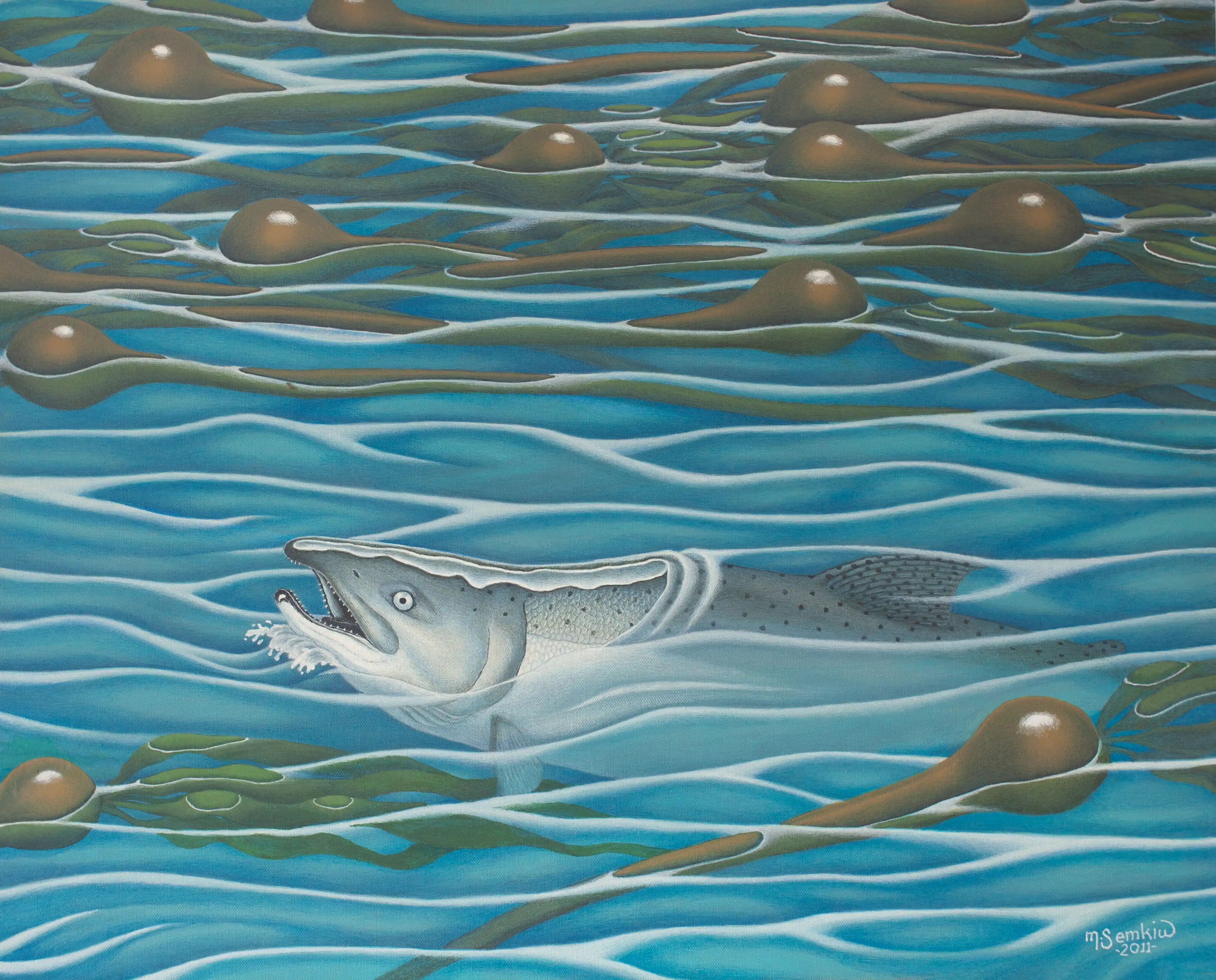 Chinook Salmon